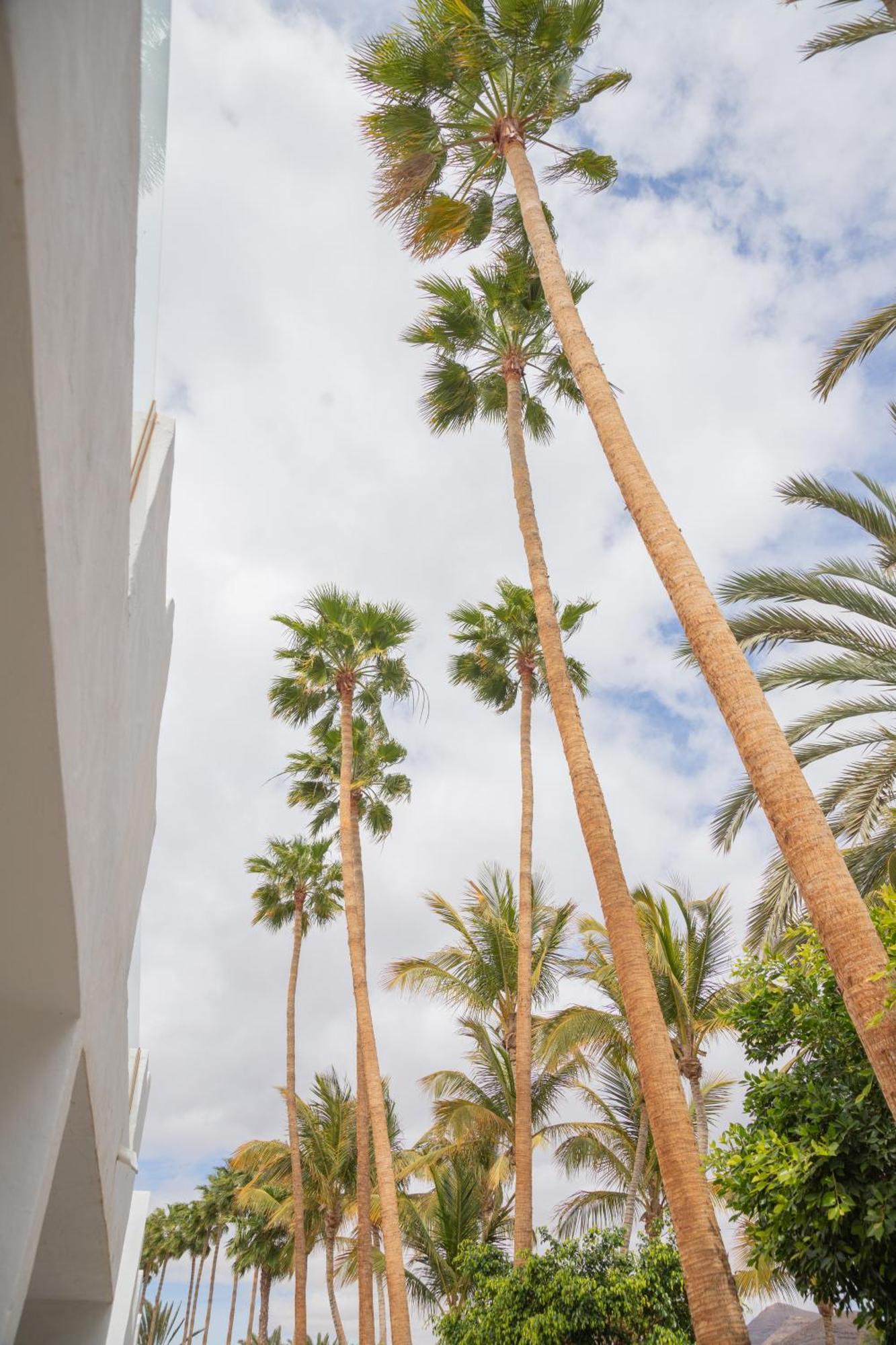 Palm Beach Fuerteventura Tarajalejo Dış mekan fotoğraf